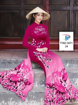 1635850393 vai ao dai dep (4)